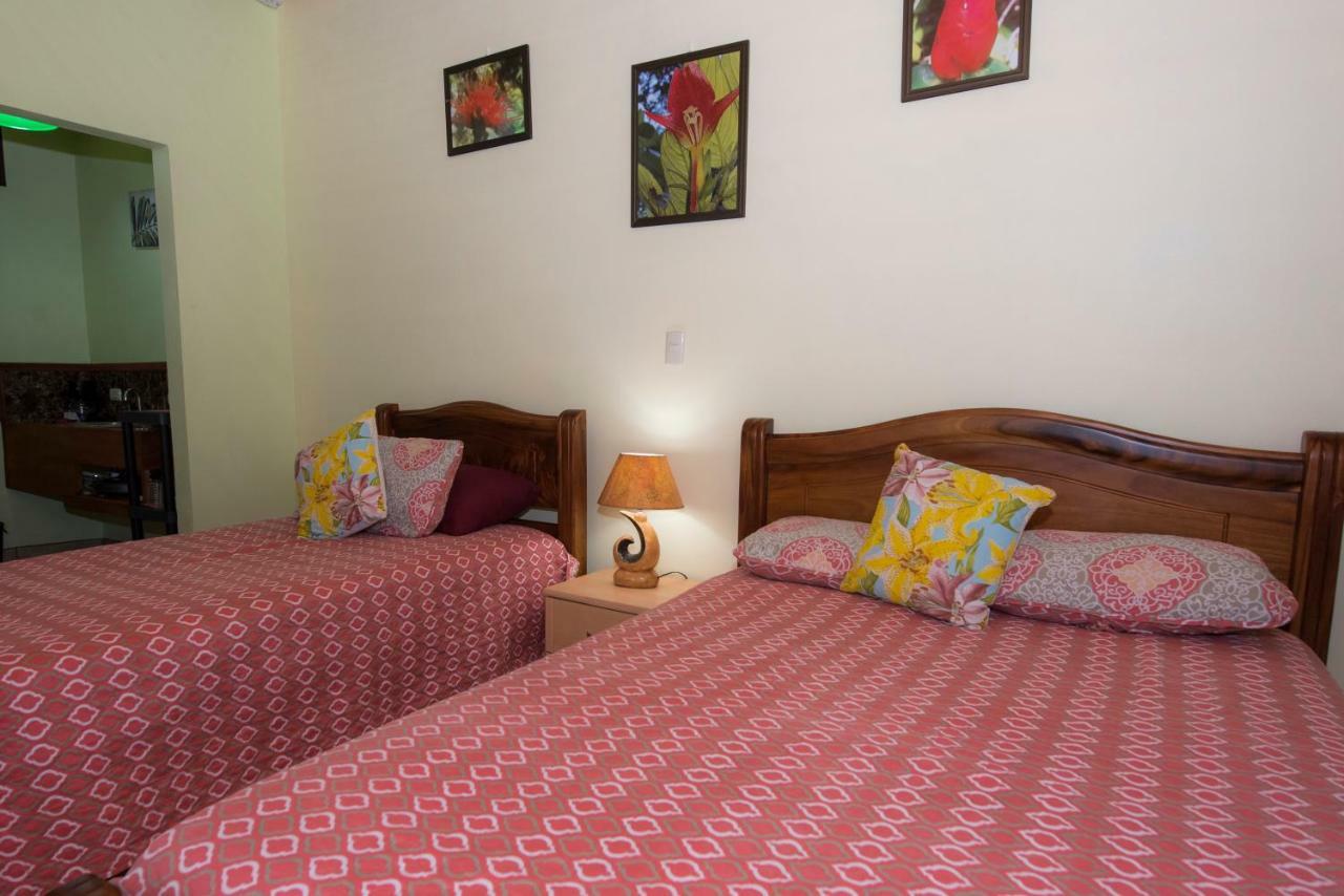 Hotel Sunshine Caribe Puerto Viejo de Talamanca Exterior foto